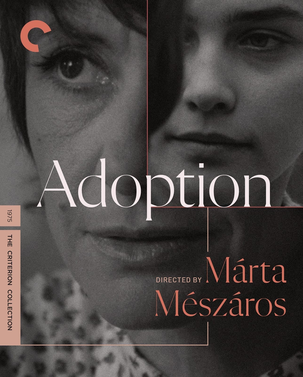 Adoption