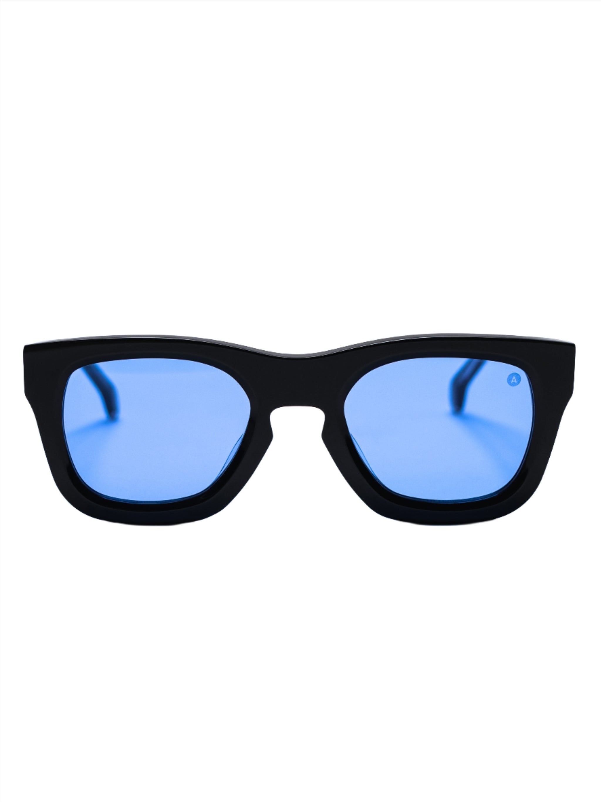 Large Sunglasses - Black