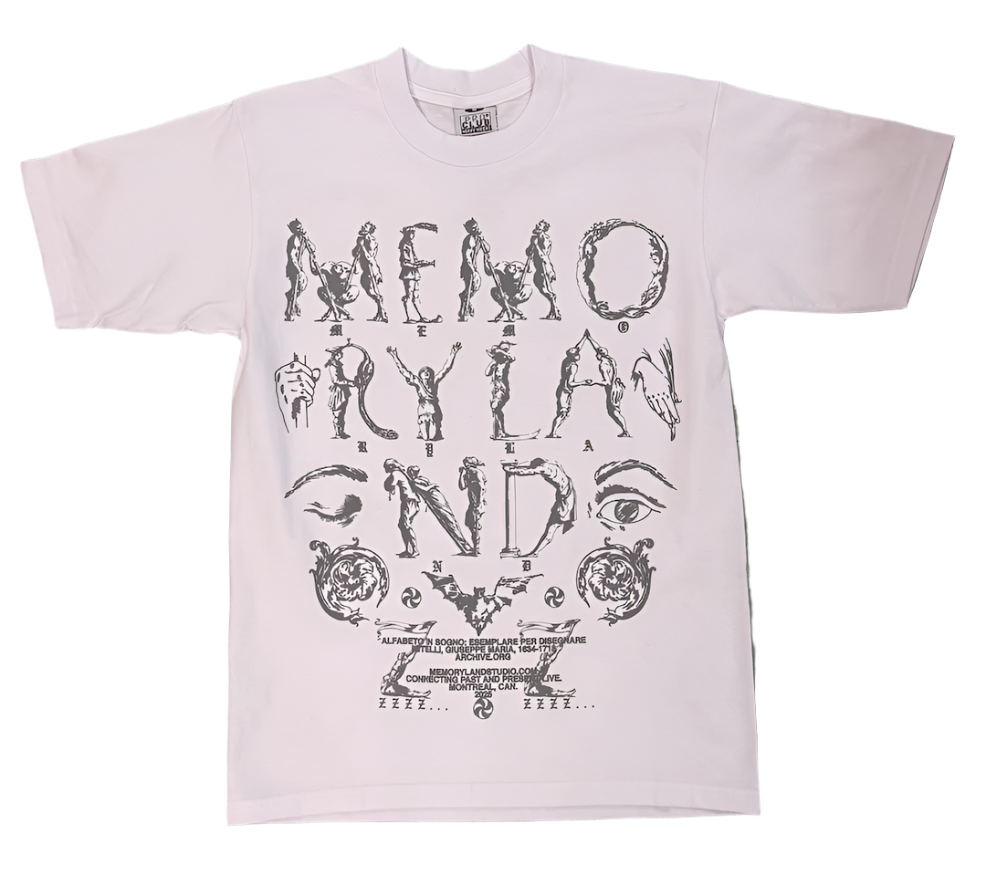 white tshirt with grey stylized text that says 'memory land'