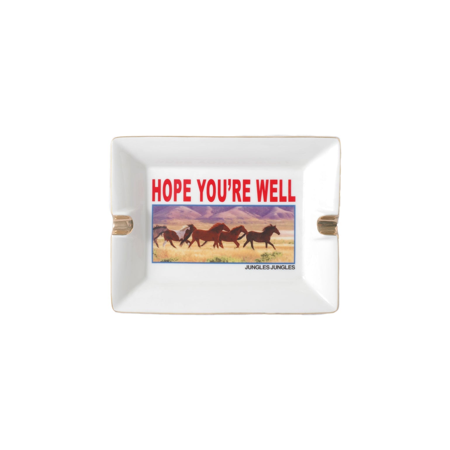 Rectangular white dish with 'Hope You're Well' text and horse illustration on a white background