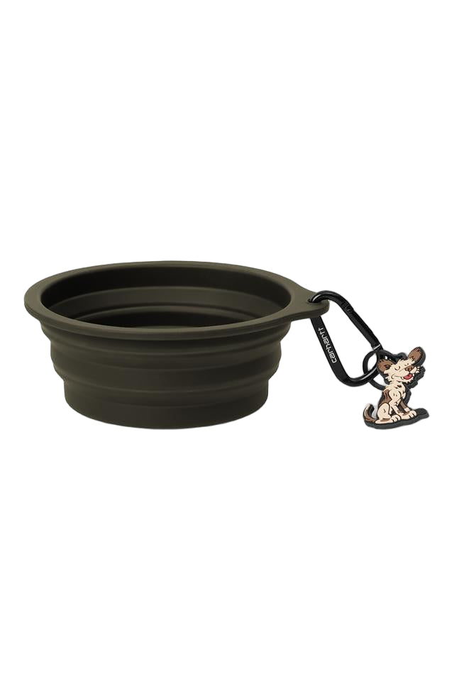Collapsible dog bowl with a keychain on a white background